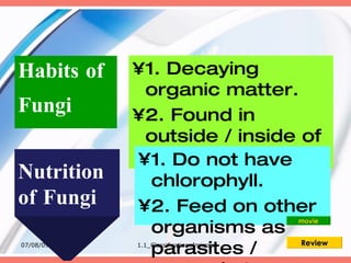 Habits of   •1. Decaying
             organic matter.
Fungi       •2. Found in
             outside / inside of
            •1. Do things.
             living not have
Nutrition     chlorophyll.
of Fungi    •2. Feed on other
              organisms as
                                         movie


07/08/09
              parasites /     Review
            1.1_Classificationofmicros
 