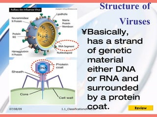 Structure of
                                            Viruses
                          •Basically,
                           has a strand
                           of genetic
                           material
                           either DNA
                           or RNA and
                           surrounded
                           by a protein
07/08/09                   coat.
           1.1_Classificationofmicros Review
 