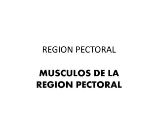 REGION PECTORAL
MUSCULOS DE LA
REGION PECTORAL
 
