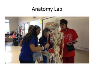 Anatomy Lab
 