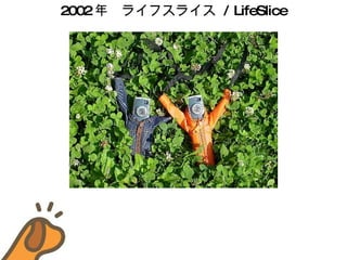 2002 ꡡ饤ե饤  / LifeSlice 
