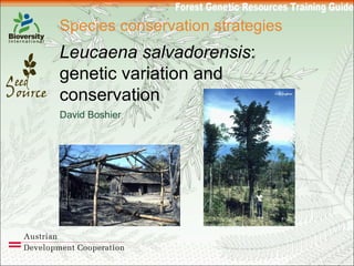 Species conservation strategies Leucaena salvadorensis : genetic variation and conservation David Boshier 