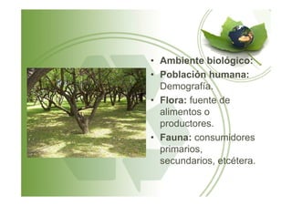 • Ambiente biológico:
• Población humana:
Demografía.
• Flora: fuente de• Flora: fuente de
alimentos o
productores.
• Fauna: consumidores
primarios,
secundarios, etcétera.
 
