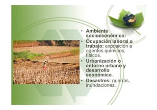 • Ambiente
socioeconómico:
• Ocupación laboral o
trabajo: exposición a
agentes químicos,
físicos.físicos.
• Urbanización o
entorno urbano y
desarrollo
económico.
• Desastres: guerras,
inundaciones.
 