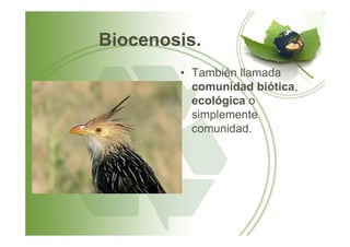 Biocenosis.
• También llamada
comunidad biótica,
ecológica o
simplemente
comunidad.comunidad.
 