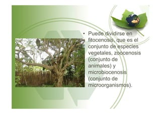 • Puede dividirse en
fitocenosis, que es el
conjunto de especies
vegetales, zoocenosis
(conjunto de(conjunto de
animales) y
microbiocenosis
(conjunto de
microorganismos).
 