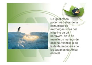 • De igual modo
podemos hablar de la
comunidad de
microorganismos del
intestino de unintestino de un
herbívoro, de la de
mamíferos marinos del
océano Atlántico o de
la de depredadores de
las sabanas de África
oriental.
 