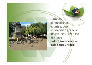 • Para las
comunidades
extintas, que
conocemos por sus
fósiles, se utilizan losfósiles, se utilizan los
términos
paleobiocenosis o
paleocomunidad.
 