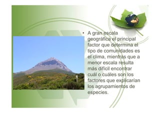 • A gran escala
geográfica el principal
factor que determina el
tipo de comunidades es
el clima, mientras que ael clima, mientras que a
menor escala resulta
más difícil encontrar
cuál o cuáles son los
factores que explicarían
los agrupamientos de
especies.
 
