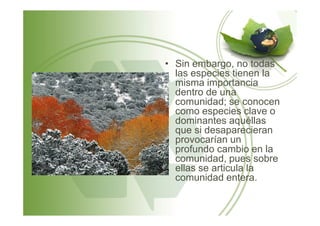 • Sin embargo, no todas
las especies tienen la
misma importancia
dentro de una
comunidad; se conocen
como especies clave ocomo especies clave o
dominantes aquéllas
que si desaparecieran
provocarían un
profundo cambio en la
comunidad, pues sobre
ellas se articula la
comunidad entera.
 