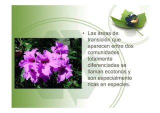 • Las áreas de
transición que
aparecen entre dos
comunidades
totalmentetotalmente
diferenciadas se
llaman ecotonos y
son especialmente
ricas en especies.
 