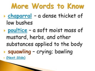  chaparral – a dense thicket of
 low bushes
 poultice – a soft moist mass of
 mustard, herbs, and other
 substances applied to the body
 squawling – crying; bawling
   (Next Slide)
 