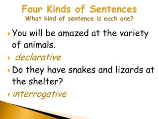  You   will be amazed at the variety
    of animals.
   declarative
 Do   they have snakes and lizards at
    the shelter?
 interrogative
 