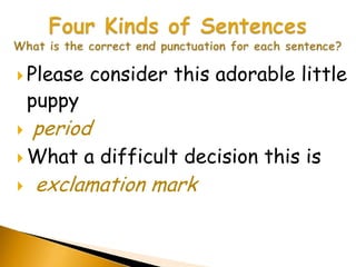  Please    consider this adorable little
    puppy
   period
 What      a difficult decision this is
   exclamation mark
 