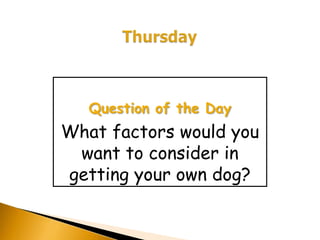 Question of the Day
What factors would you
 want to consider in
getting your own dog?
 
