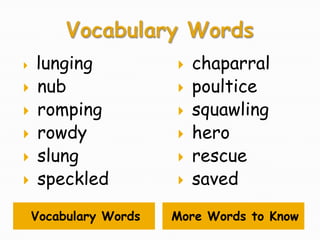    lunging               chaparral
   nub                   poultice
   romping               squawling
   rowdy                 hero
   slung                 rescue
   speckled              saved

    Vocabulary Words   More Words to Know
 