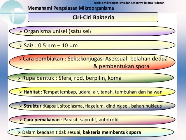 1.1 pengelasan mikroorganisma