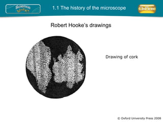 © Oxford University Press 2008 1.1 The history of the microscope Robert Hooke’s drawings Drawing of cork 