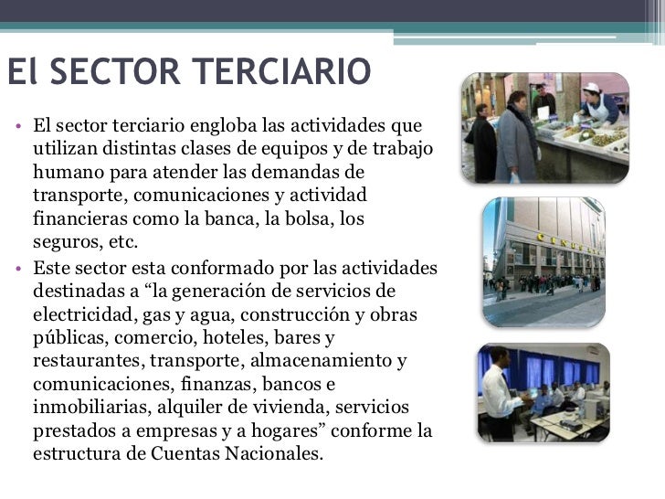 cadenas productivas relacionadas al turismo 1 1 sectores primario secundario y terciario cadenas productivas relacionadas al turismo 1 1 sectores primario secundario y terciario