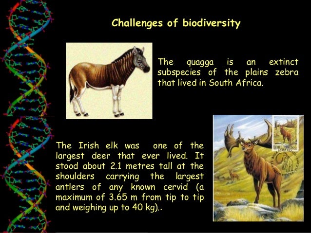what is life science