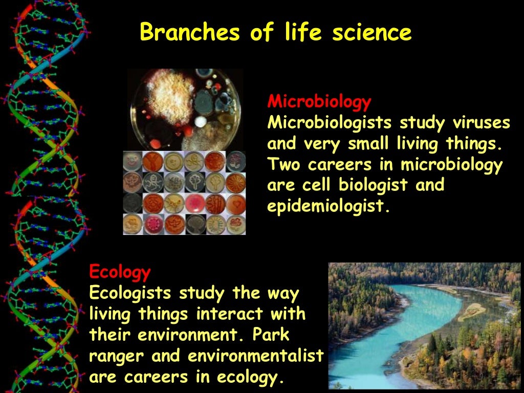 1 1 what is life science
