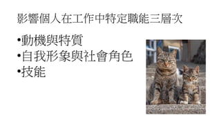 影響個人在工作中特定職能三層次
•動機與特質
•自我形象與社會角色
•技能
 