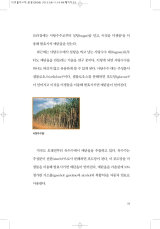 브라질에는 사탕수수로부터 설탕(sugar)을 얻고, 이것을 미생물*을 이
용해 발효시켜 에탄올을 얻는다.
최근에는 사탕수수에서 설탕을 짜고 남는 사탕수수 대(bagasse)로부
터도 에탄올을 만들려는 기술을 연구 중이다. 이렇게 되면 사탕수수를
하나도 버리지 않고 유용하게 쓸 수 있게 된다. 사탕수수 대는 주성분이
셀룰로오스(cellulose)*이다. 셀룰로오스를 분해하면 포도당(glucose)*
이 얻어지고 이것을 미생물을 이용해 발효시키면 에탄올이 얻어진다.
미국도 오래전부터 옥수수에서 에탄올을 추출하고 있다. 옥수수는
주성분이 전분(starch)*으로서 분해하면 포도당이 된다. 이 포도당을 미
생물을 이용해 발효시키면 에탄올이 얻어진다. 에탄올을 가솔린에 10%
첨가한 가소홀(gasohol: gasoline과 alcohol의 복합어)을 자동차 연료로
사용한다.
33
사탕수수밭
 