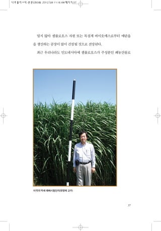 멀지 않아 셀룰로오스 자원 또는 목질계 바이오매스로부터 에탄올
을 생산하는 공장이 많이 건설될 것으로 전망된다.
최근 우리나라도 인도네시아에 셀룰로오스가 주성분인 폐농산물로
37
미국의 억새 재배시험단지(유영제 교수)
 