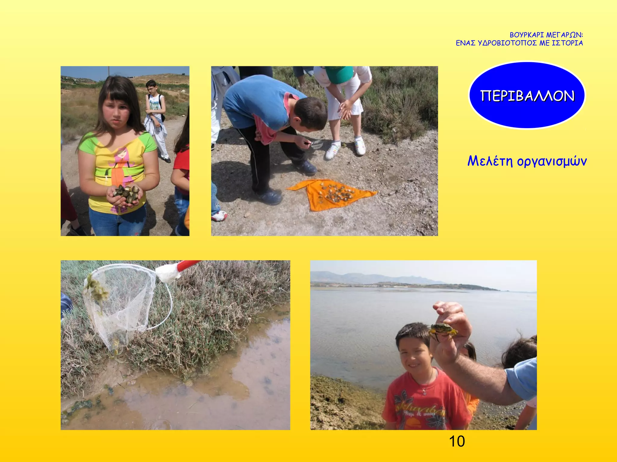 10
Μελέτη οργανισμών
ΒΟΥΡΚΑΡΙ ΜΕΓΑΡΩΝ:
ΕΝΑΣ ΥΔΡΟΒΙΟΤΟΠΟΣ ΜΕ ΙΣΤΟΡΙΑ
ΠΕΡΙΒΑΛΛΟΝΠΕΡΙΒΑΛΛΟΝ
 