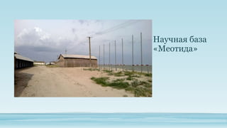 Научная база
«Меотида»

 