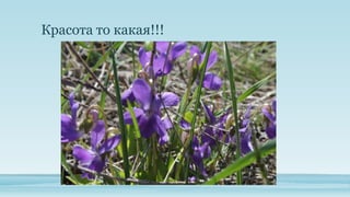 Красота то какая!!!

 