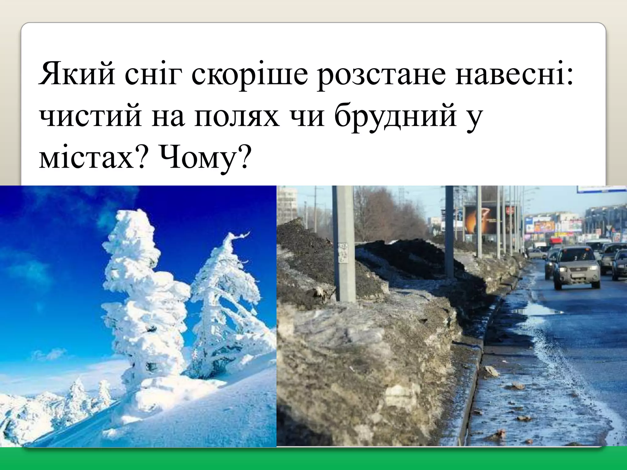 Який сніг скоріше розстане навесні:
чистий на полях чи брудний у
містах? Чому?

 