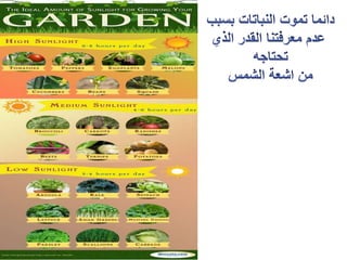 مشروع الاحياء1 2