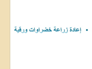 مشروع الاحياء1 2