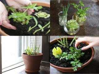 مشروع الاحياء1 2