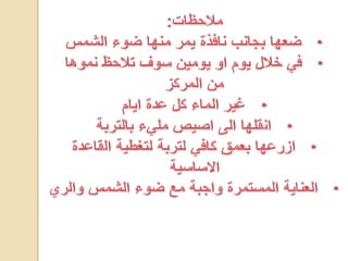 مشروع الاحياء1 2