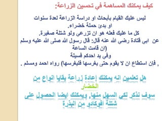 مشروع الاحياء1 2