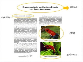 Mtra. Zoraida Guadalupe Martínez
Alvarado
 