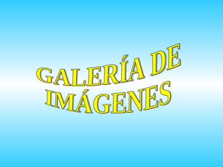 GALERÍA DE IMÁGENES 