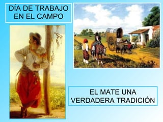 DÍA DE TRABAJO EN EL CAMPO EL MATE UNA VERDADERA TRADICIÓN 