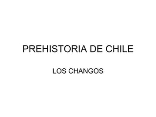 PREHISTORIA DE CHILE LOS CHANGOS 