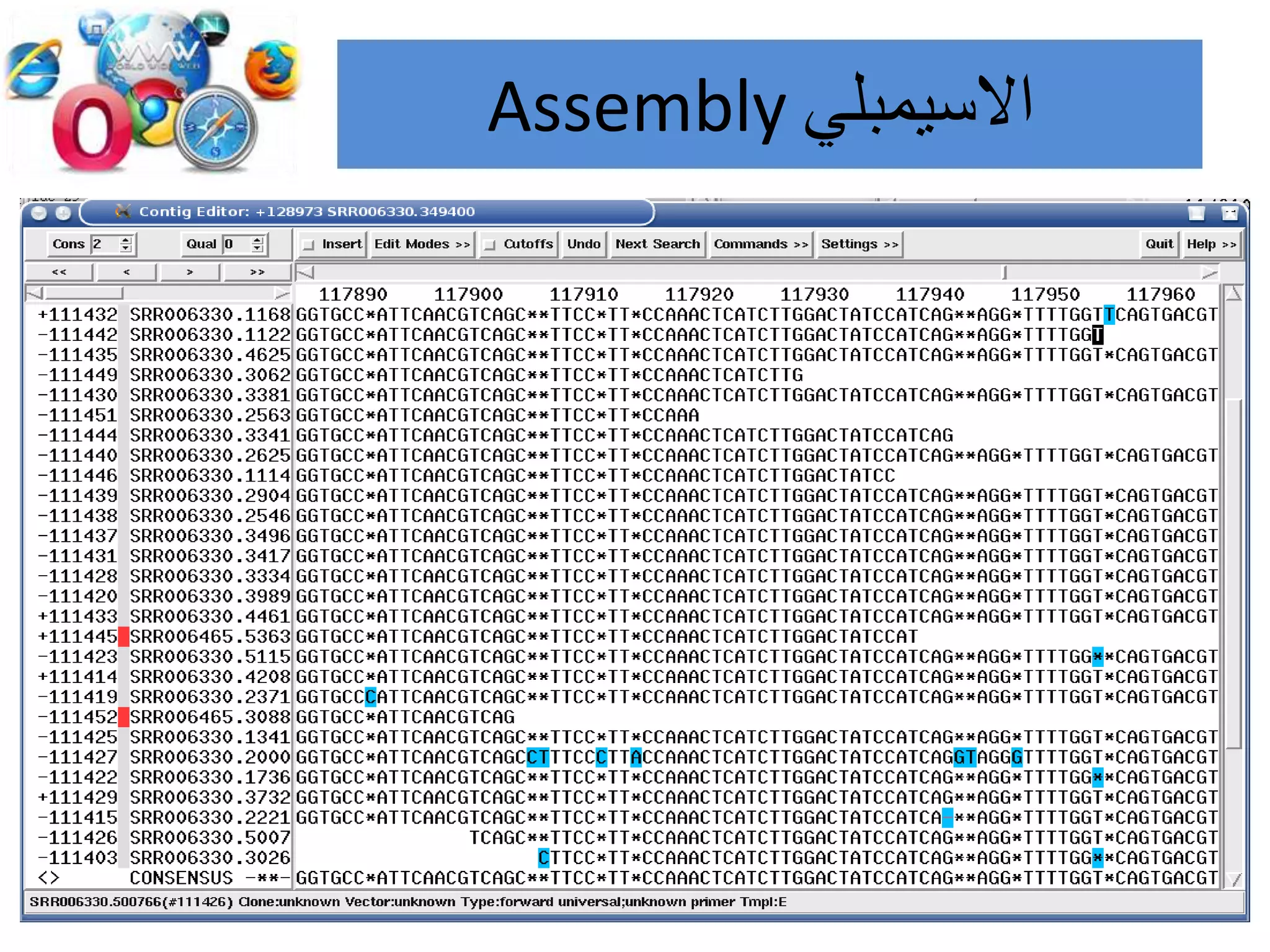 ‫االسيمبلي‬Assembly
 