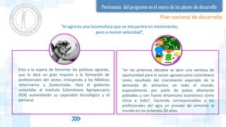 Esto a la espera de fomentar las políticas agrarias,
que le dará un gran impulso a la formación de
profesionales del sector, incluyendo a los Médicos
Veterinarios y Zootecnistas. Para el gobierno
consolidar al Instituto Colombiano Agropecuario
(ICA) aumentando su capacidad tecnológica y el
personal.
“en las próximas décadas se abre una ventana de
oportunidad para el sector agropecuario colombiano
como resultado del crecimiento esperado de la
demanda de alimentos en todo el mundo,
especialmente por parte de países altamente
poblados y con fuerte dinamismo económico como
china e india”, haciendo corresponsables a los
profesionales del agro en proveer de alimento al
mundo en los próximos 50 años.
“el agro es una locomotora que se encuentra en movimiento,
pero a menor velocidad”,
Plan nacional de desarrollo
 