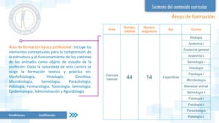 Áreas de formación
Condiciones Justificación
Área de formación básica profesional: Incluye los
elementos conceptuales para la comprensión de
la estructura y el funcionamiento de los sistemas
de los animales como objeto de estudio de la
profesión. Dada la naturaleza de esta carrera se
exige la formación teórica y práctica en:
Morfofisiología, Histología, Genética,
Microbiología, Semiología, Parasitología,
Patología, Farmacología, Toxicología, Semiología,
Epidemiología, Administración y Agrostología
Área
Numero
créditos
Numero
asignatura
Eje Cursos
Ciencias
básicas 44 14 Especificas
Etología
Anatomía i
Zootecnia general
Anatomía ii
Semiología i
Histología
Fisiología i
Microbiología
Bienestar animal
Semiología ii
Patología i
Fisiología ii
Parasitología
Patología ii
 