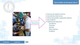 Condiciones Justificación
Servicios de medicina interna
Consultorios Veterinarios
Clínicas de grandes y pequeñas especies
Zoo criaderos
Explotaciones pecuarias
Ganaderías
Piscícolas
Avícolas
Otras especies
Criaderos
Área clínica
 