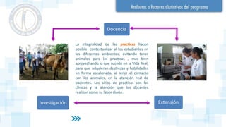 Docencia
ExtensiónInvestigación
La integralidad de las practicas hacen
posible contextualizar al los estudiantes en
los diferentes ambientes, evitando tener
animales para las practicas , mas bien
aprovechando lo que sucede en la Vida Real,
para que adquieran destrezas y habilidades
en forma escalonada, al tener el contacto
con los animales, en la atención real de
pacientes. Los sitios de practicas son las
clínicas y la atención que los docentes
realizan como su labor diaria.
 