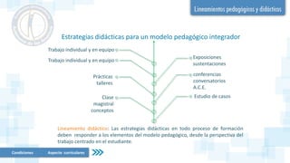 Lineamiento didáctico: Las estrategias didácticas en todo proceso de formación
deben responder a los elementos del modelo pedagógico, desde la perspectiva del
trabajo centrado en el estudiante.
Estrategias didácticas para un modelo pedagógico integrador
Estudio de casos
conferencias
conversatorios
A.C.E.
Exposiciones
sustentaciones
Trabajo individual y en equipo
Trabajo individual y en equipo
Prácticas
talleres
Clase
magistral
conceptos
Condiciones Aspecto curriculares
 