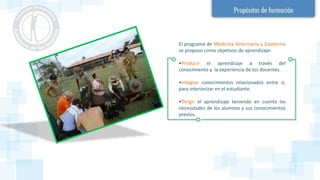 El programa de Medicina Veterinaria y Zootecnia
se propuso como objetivos de aprendizaje:
•Producir el aprendizaje a través del
conocimiento y la experiencia de los docentes.
•Integrar conocimientos relacionados entre sí,
para interiorizar en el estudiante.
•Dirigir el aprendizaje teniendo en cuenta las
necesidades de los alumnos y sus conocimientos
previos.
 