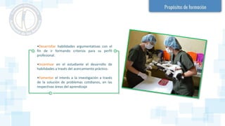 •Desarrollar habilidades argumentativas con el
fin de ir formando criterios para su perfil
profesional.
•Incentivar en el estudiante el desarrollo de
habilidades a través del acercamiento práctico.
•Fomentar el interés a la investigación a través
de la solución de problemas cotidianos, en las
respectivas áreas del aprendizaje
 