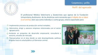 Perfil del egresado
El profesional Médico Veterinario y Zootecnista que egrese de la Fundación
Universitaria Autónoma de las Américas será consiente que el objeto de su labor
es el animal, bien sea como individuo o como grupo, estará capacitado para:
Implementar procesos de producción animal rentables.
Administrar, dirigir y asesorar empresas relacionadas con el sector
agropecuario.
Asistente en proyectos de desarrollo empresarial, consultoría y
asesoría, estudios de mercado.
Transversalizar en el área donde se esté desempeñando, políticas
dirigidas hacia la salud pública y el bienestar animal.
 